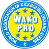 wako-pro-original-logo