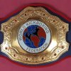 WKF PRO-AM World titel belt