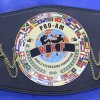 WKF PRO-AM Europa titel belt