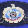 WKF PRO World title belt