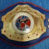 WKF PRO-AM Weltmeister Gürtel